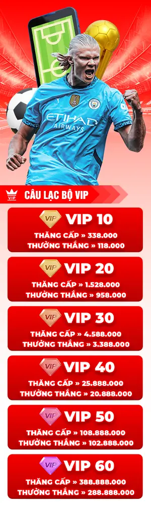 cấp vip j88